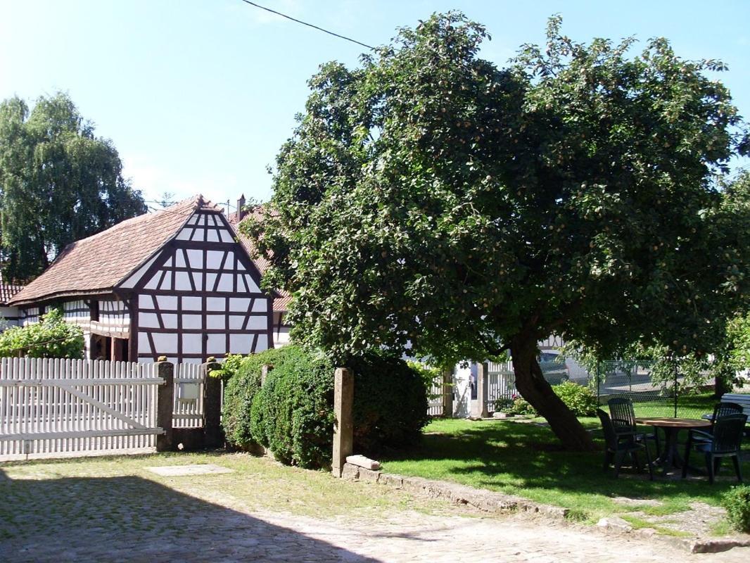 Gites Et Chambres D'Hotes Maison Ungerer Hunspach ภายนอก รูปภาพ
