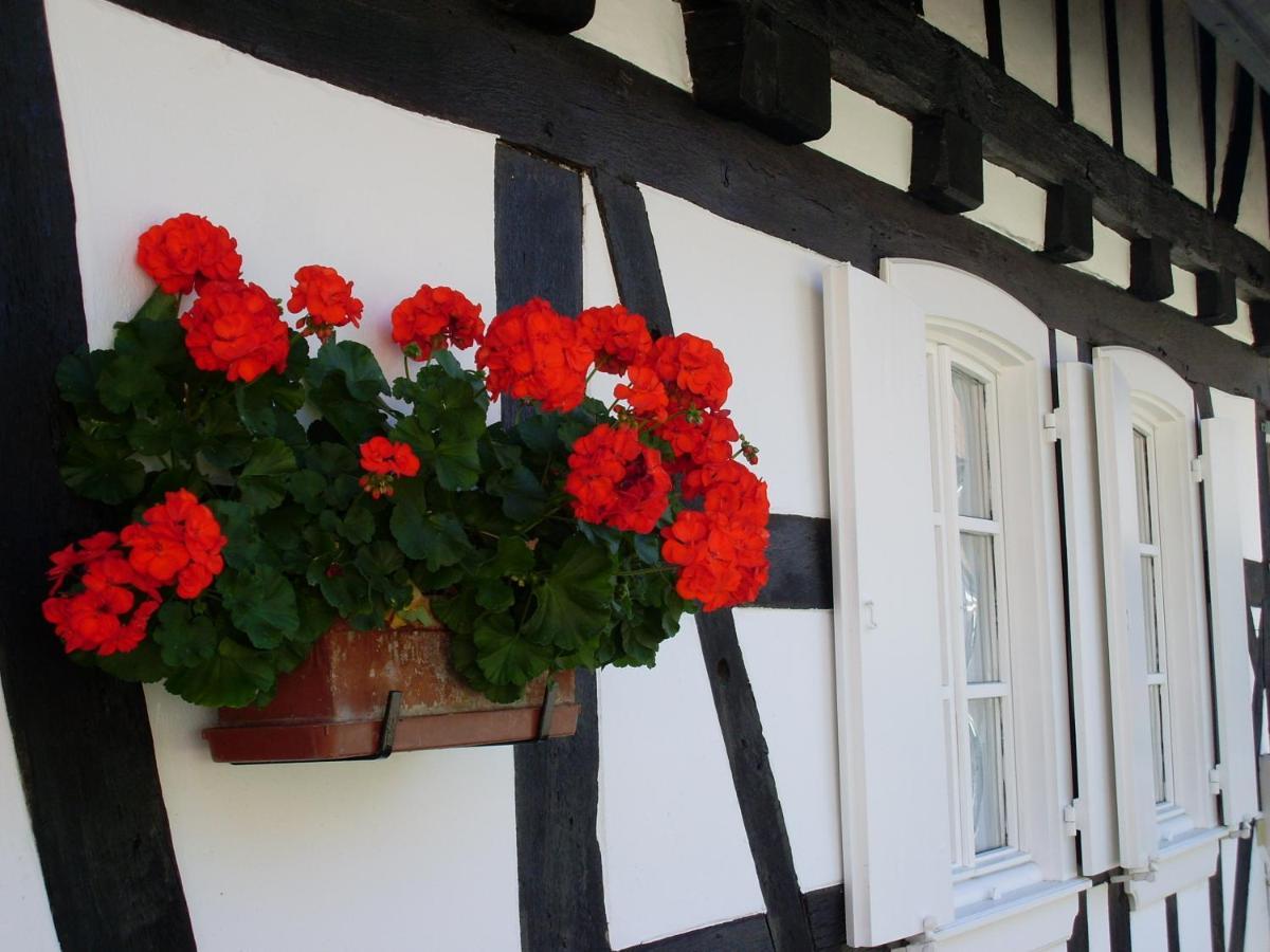 Gites Et Chambres D'Hotes Maison Ungerer Hunspach ภายนอก รูปภาพ