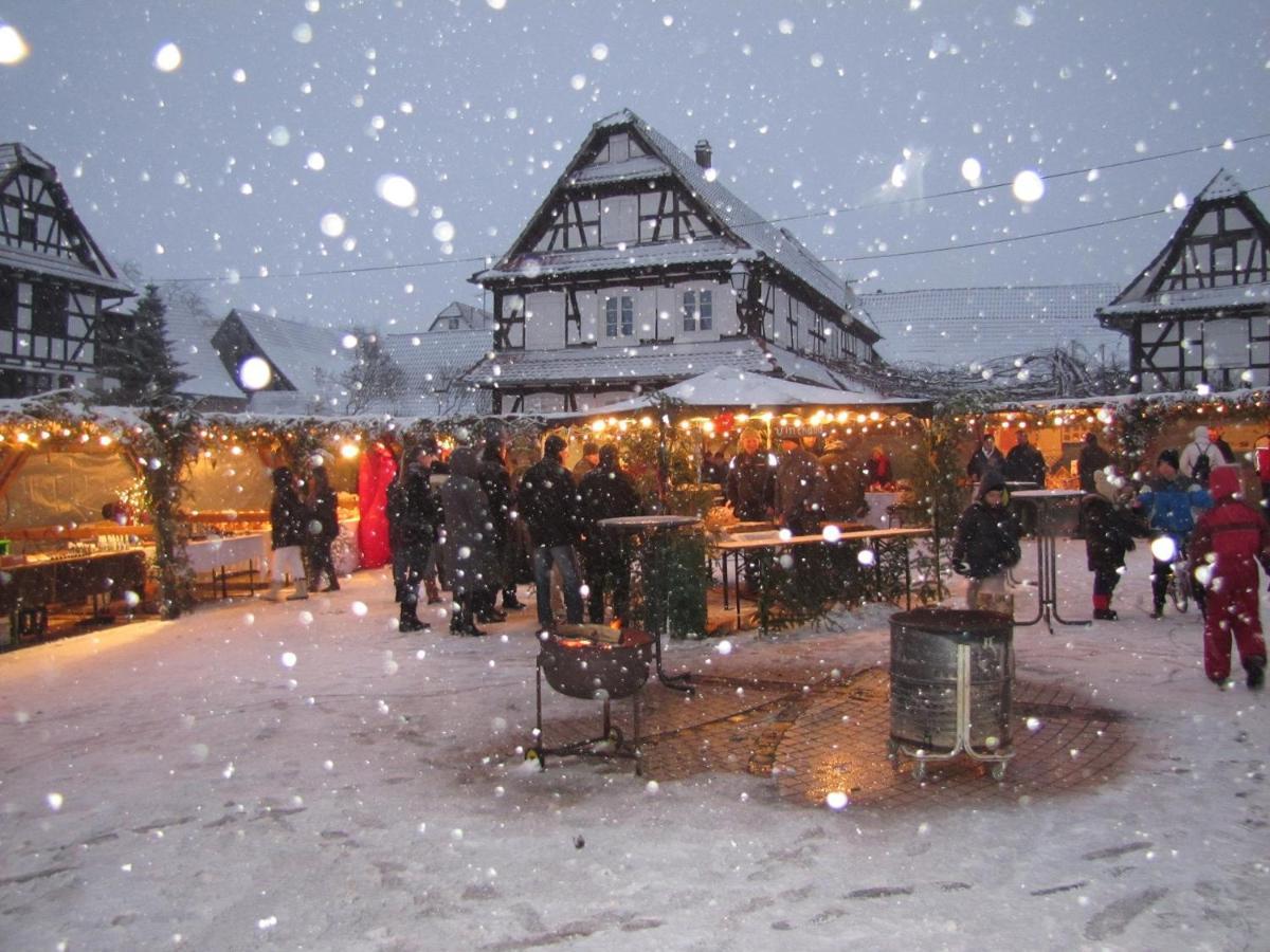 Gites Et Chambres D'Hotes Maison Ungerer Hunspach ภายนอก รูปภาพ