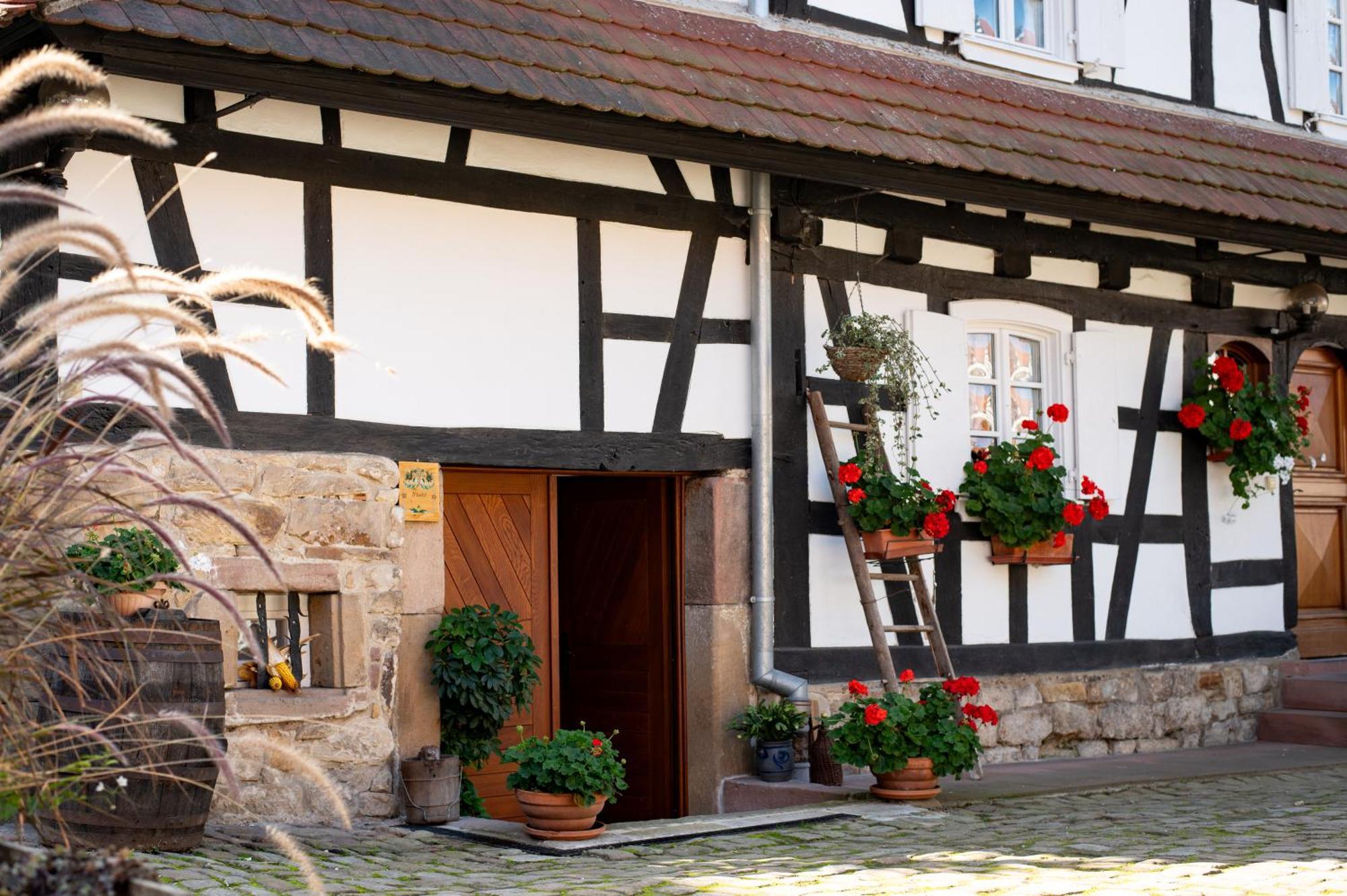 Gites Et Chambres D'Hotes Maison Ungerer Hunspach ภายนอก รูปภาพ