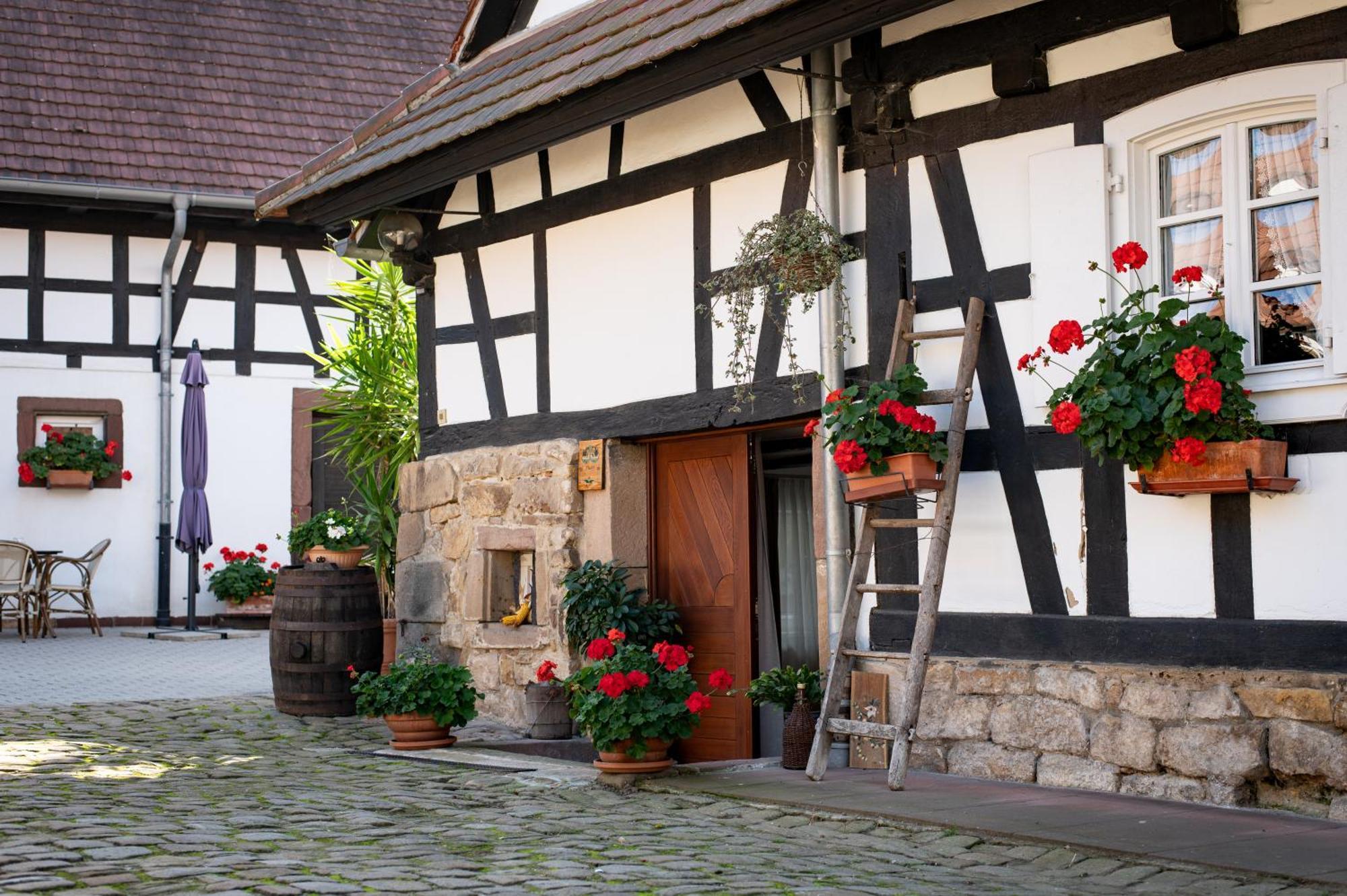 Gites Et Chambres D'Hotes Maison Ungerer Hunspach ภายนอก รูปภาพ